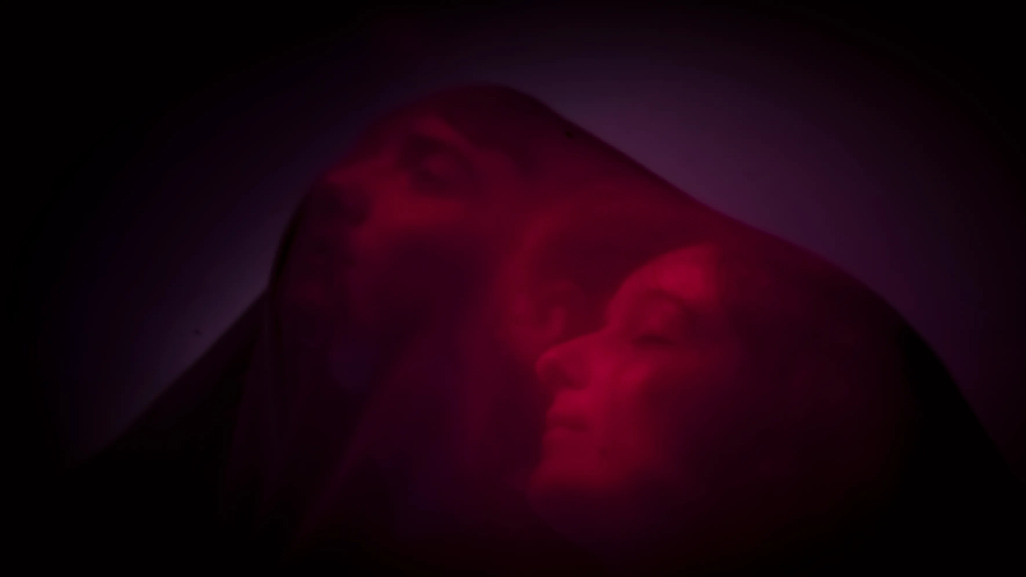 Les Fleurs du Mal