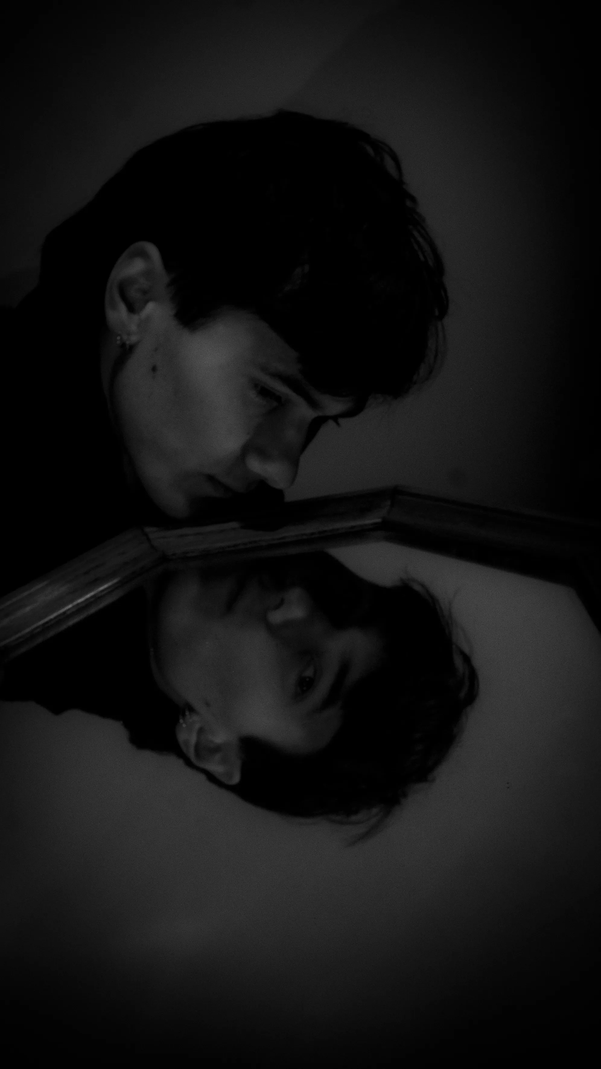 Les Fleurs du Mal